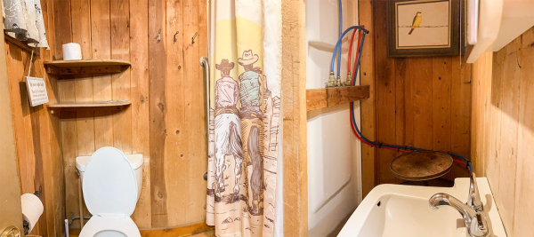 Creede_Cabin7_07