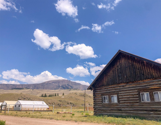 Creede_Cabin11_03