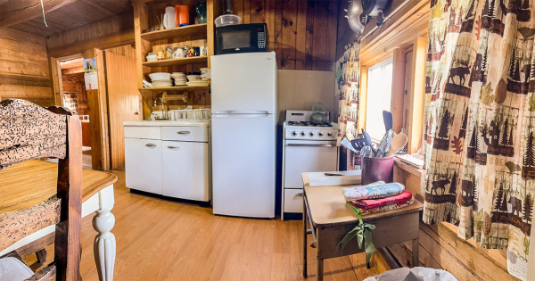 Creede_Cabin11_07