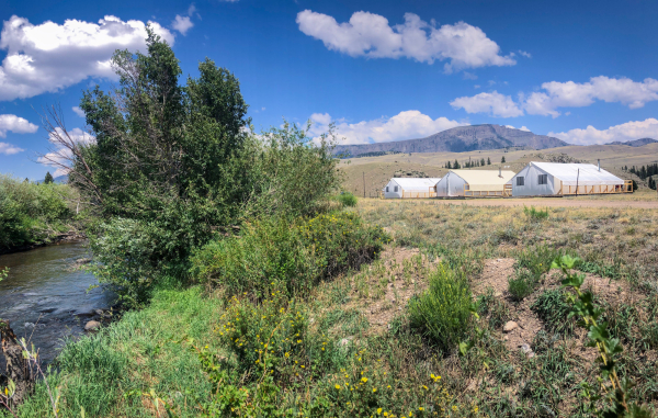 Creede_Camping_Tent1_17