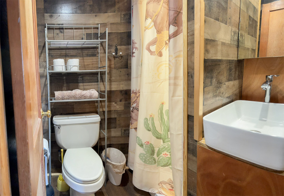 Creede_Cabin1_06