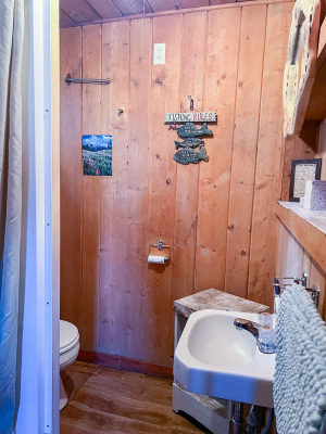 Creede_Cabin4_006